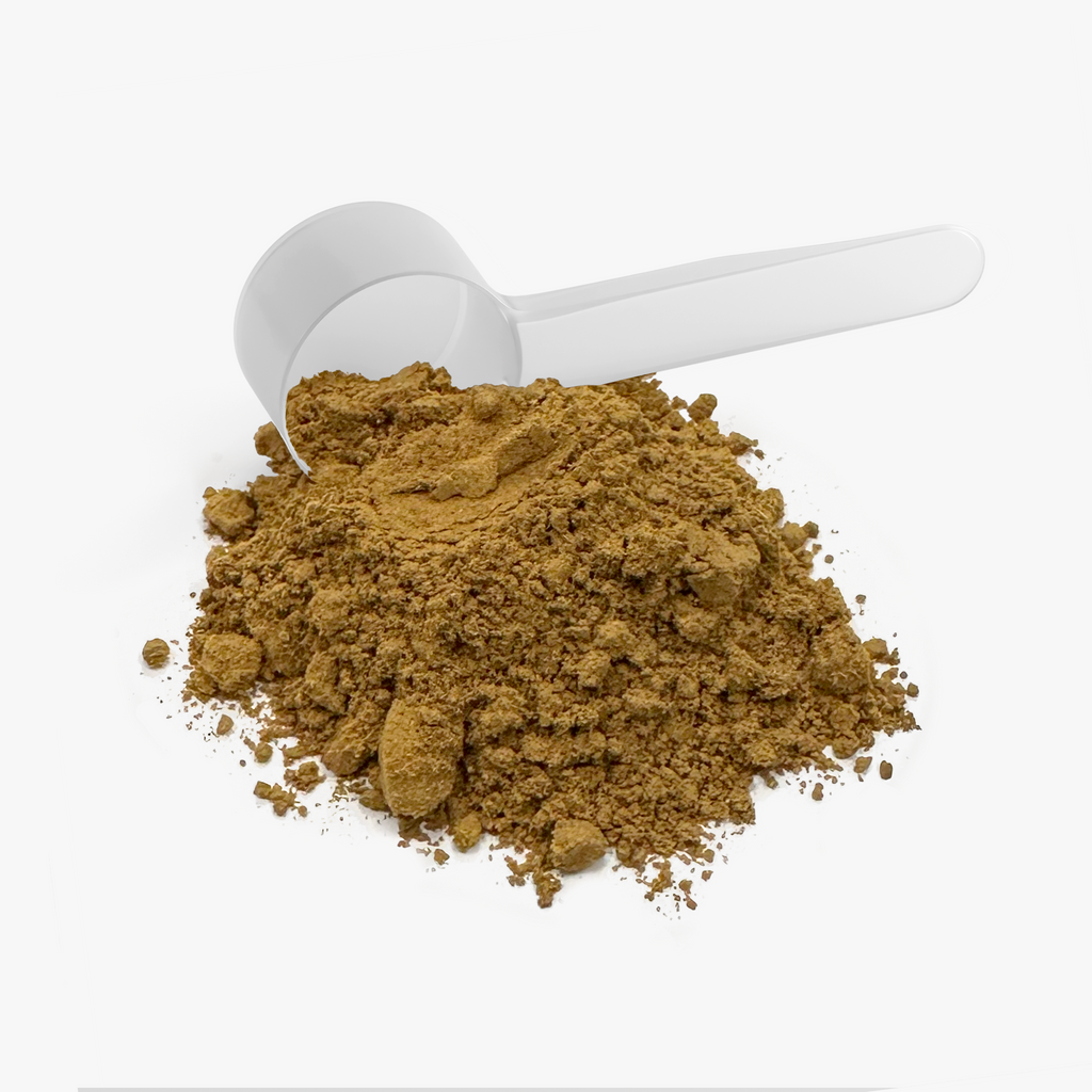 Amanita Mushroom Fuse Instant Coffee — product image 5